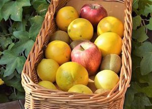 Les fruits frais sont toujours un bon choix à consommer à la campagne.